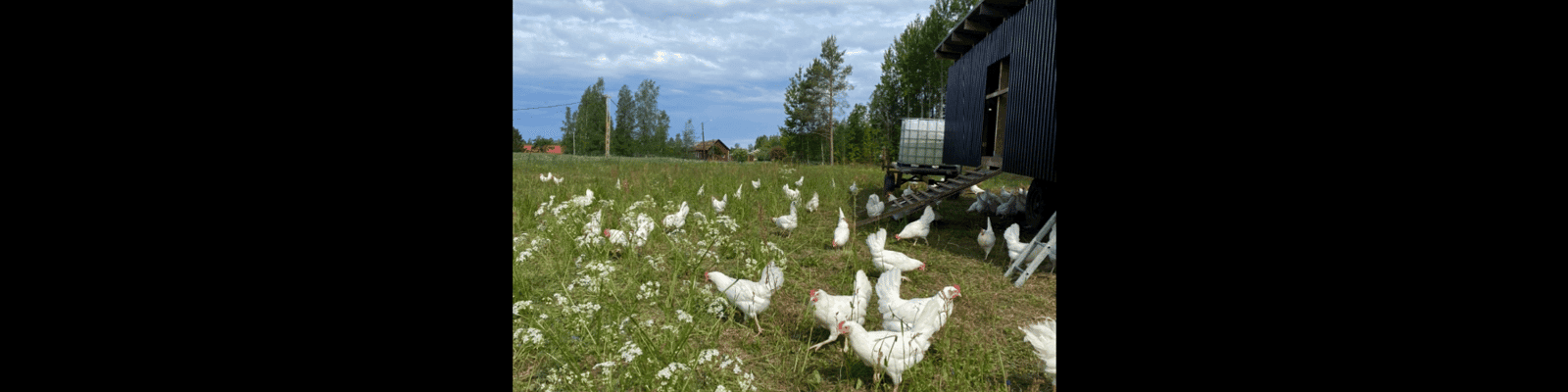 SolleröÄgg